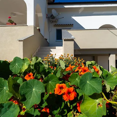 Ema's Olive Garden 2 -private Parking, 10 Min Drive From Sandy