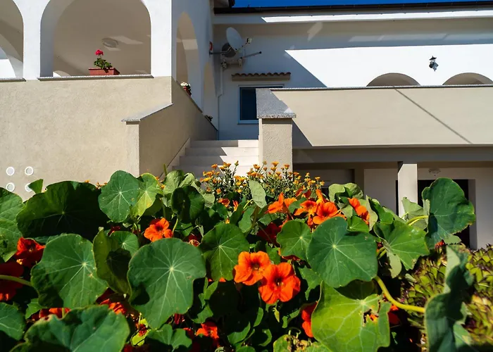 Ema's Olive Garden 2 -private Parking, 10 Min Drive From Sandy